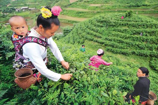 贵州农产品 彰显“国际范”