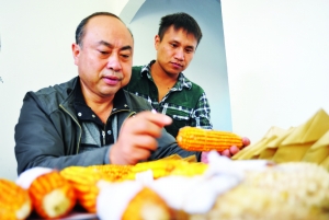 “贵州的袁隆平”：他培育了大家爱吃的“糯玉米”