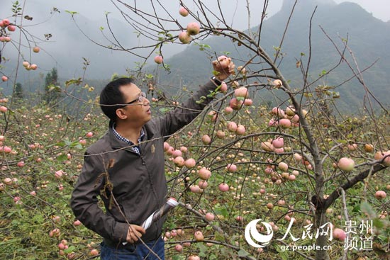 贵州桐梓：黔北第一村 生态富民路（组图）