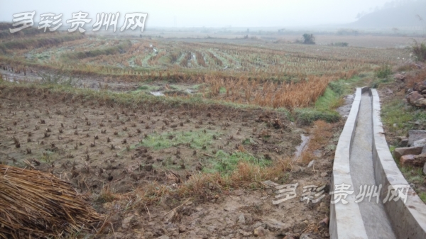 贵州：“以水养水”打通农业水价改革“最后一公里”