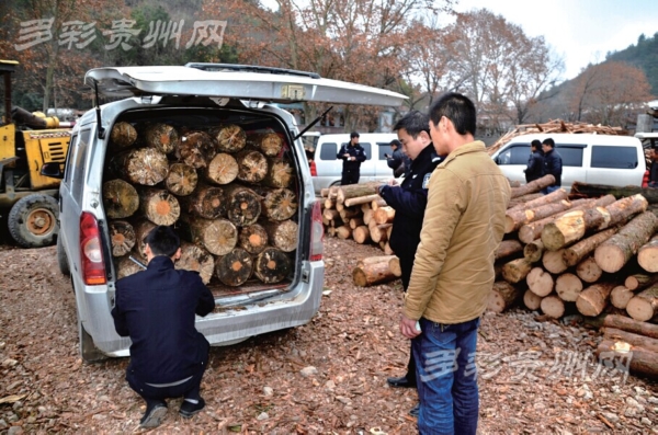 南明区森林公安查获4辆非法运输木材车