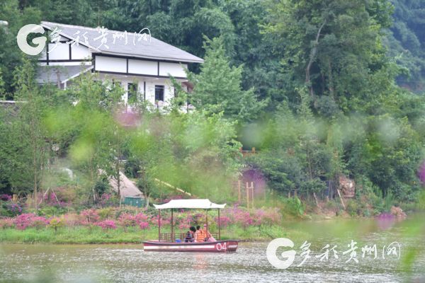 【共舞长江经济带】贵州赤水：“城市后花园”释放生态红利