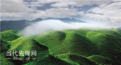 Why Guizhou is Best Summer Resort in China