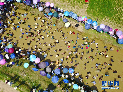 Miao people catch fish to enjoy summer <EM>Naoyu</EM> Festival