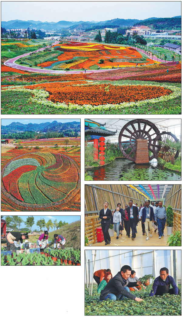 Guiyang rural revitalization to kick start new era for province