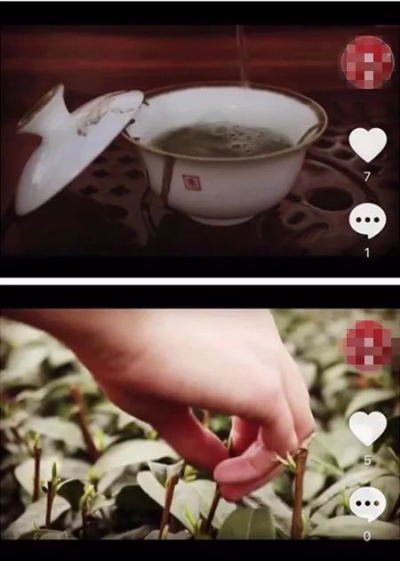 拍段短视频，一起做“贵州茶道”悟道者！